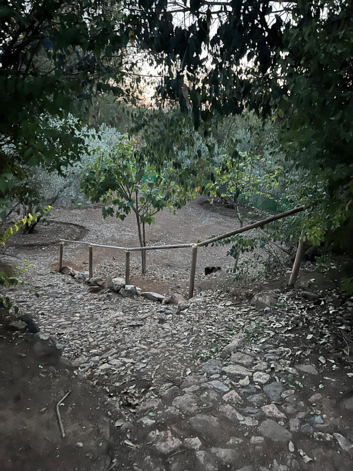 科爾多瓦La Casita De Campo别墅 外观 照片